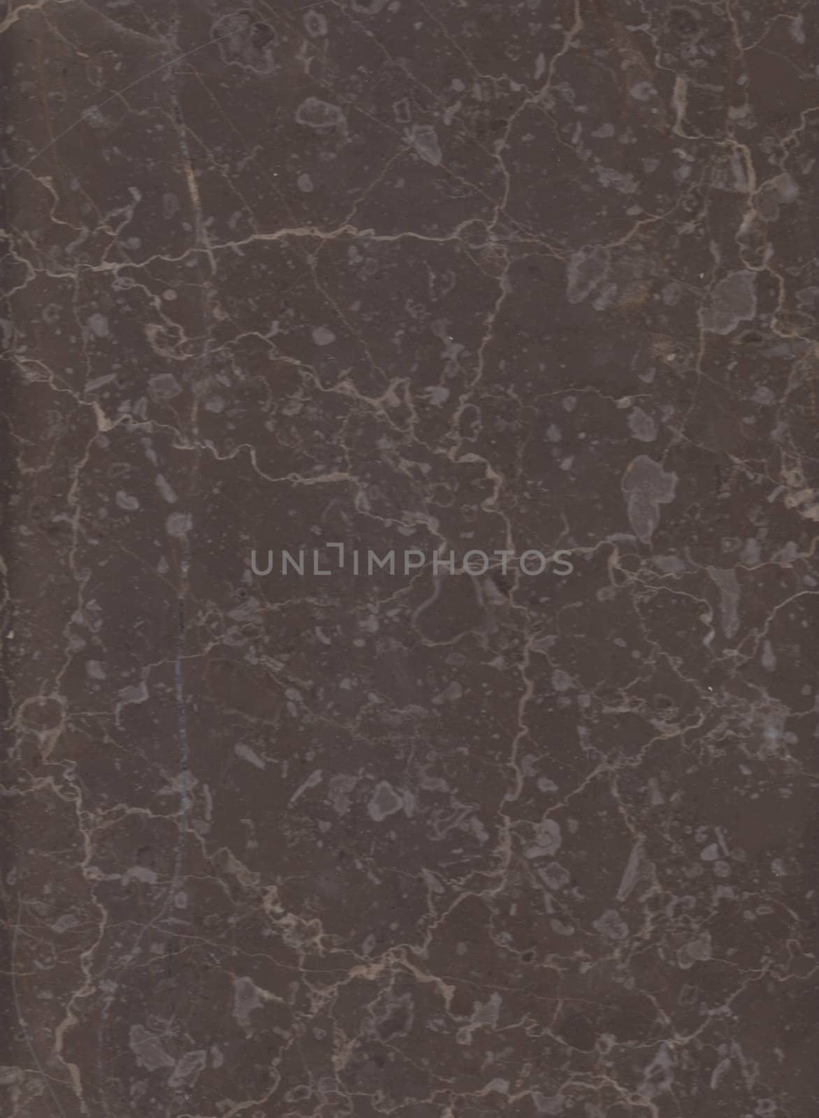Dark brown marble  texture. (High.Res.)