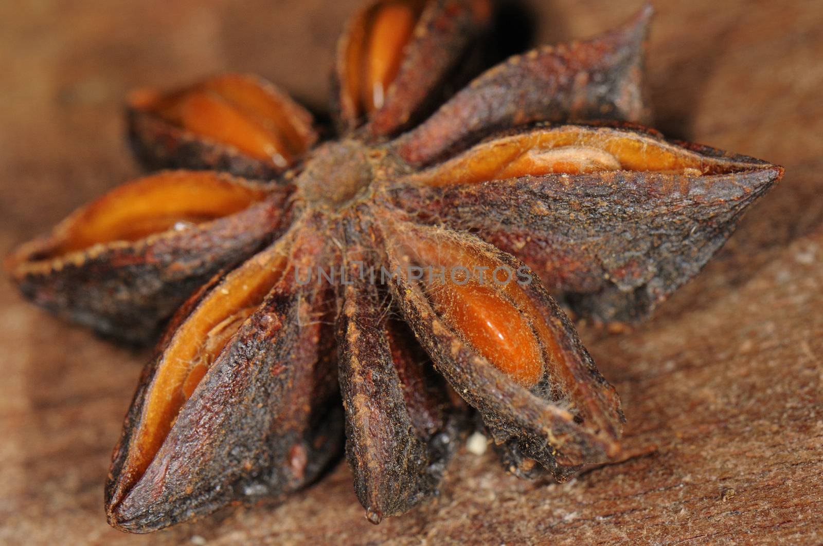 Detail of star anise against wood background