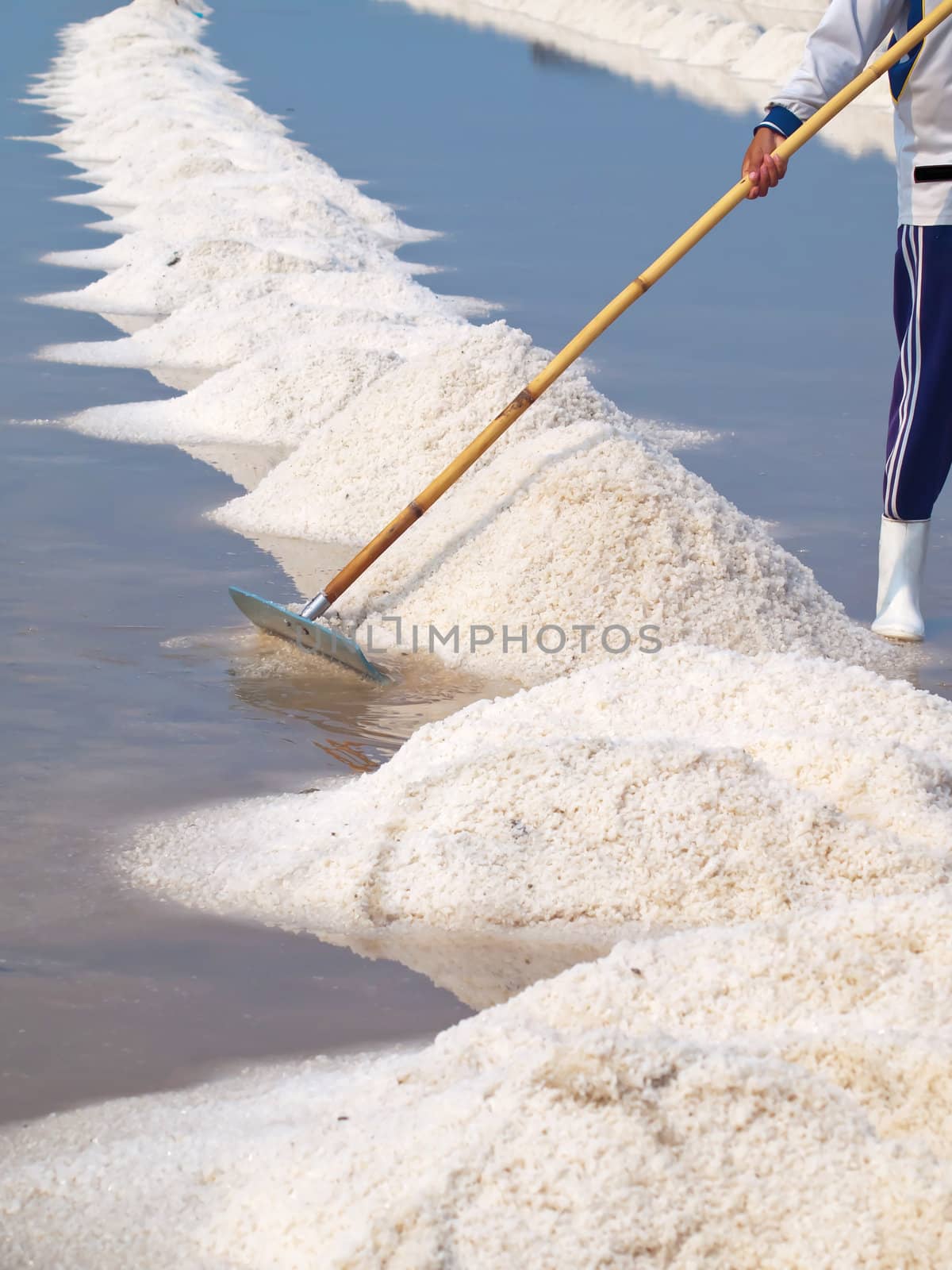 Farmer raking in the salt field in Thailand