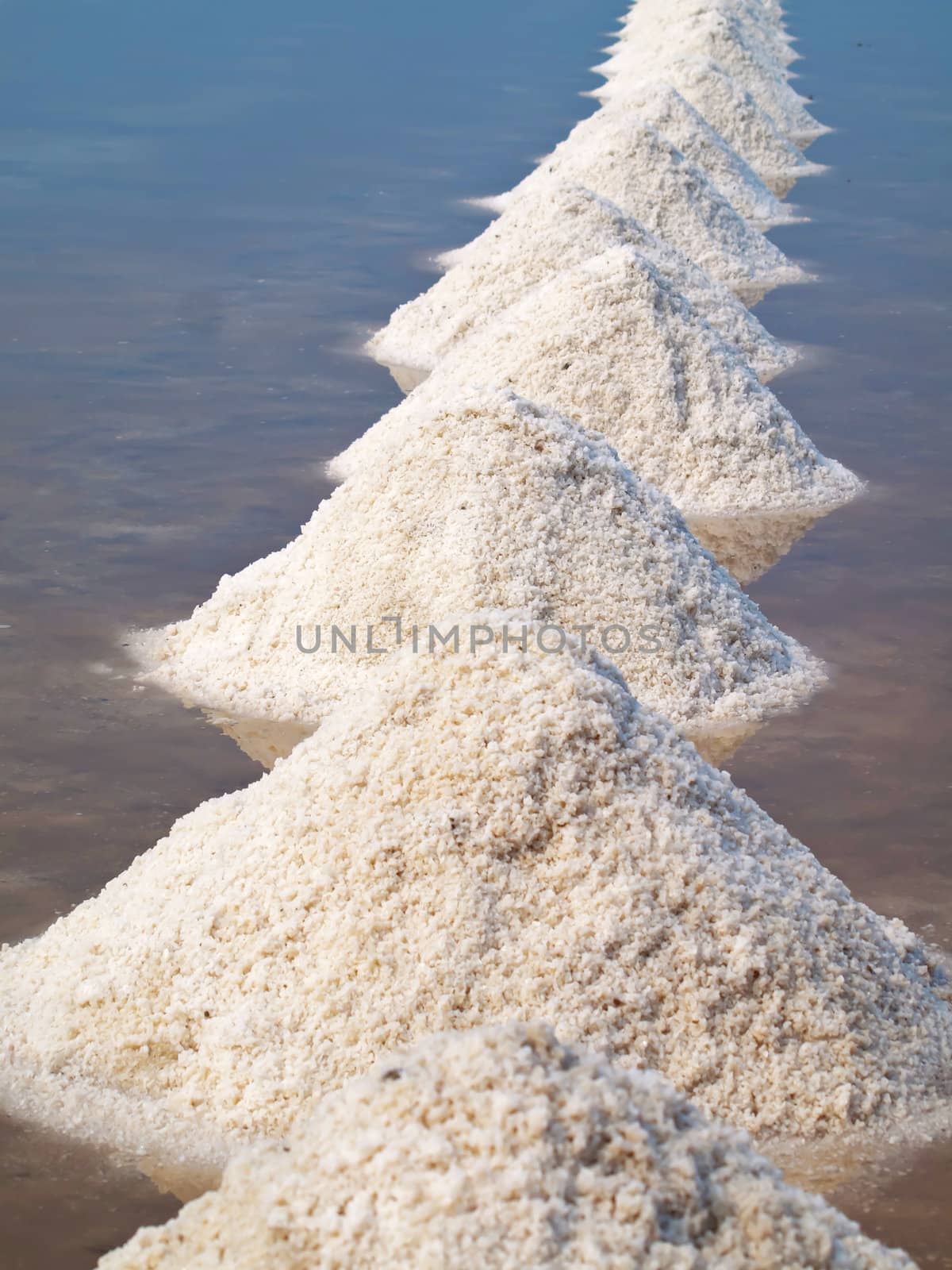 Heap of sea salt in a field prepared for harvest