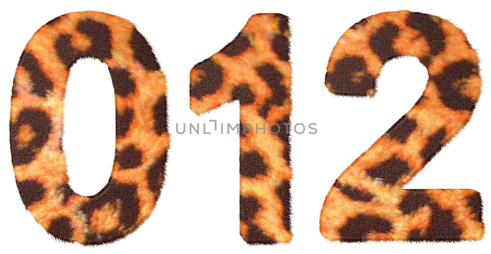Leopard skin zero, 1 and 2 figures isolated over white