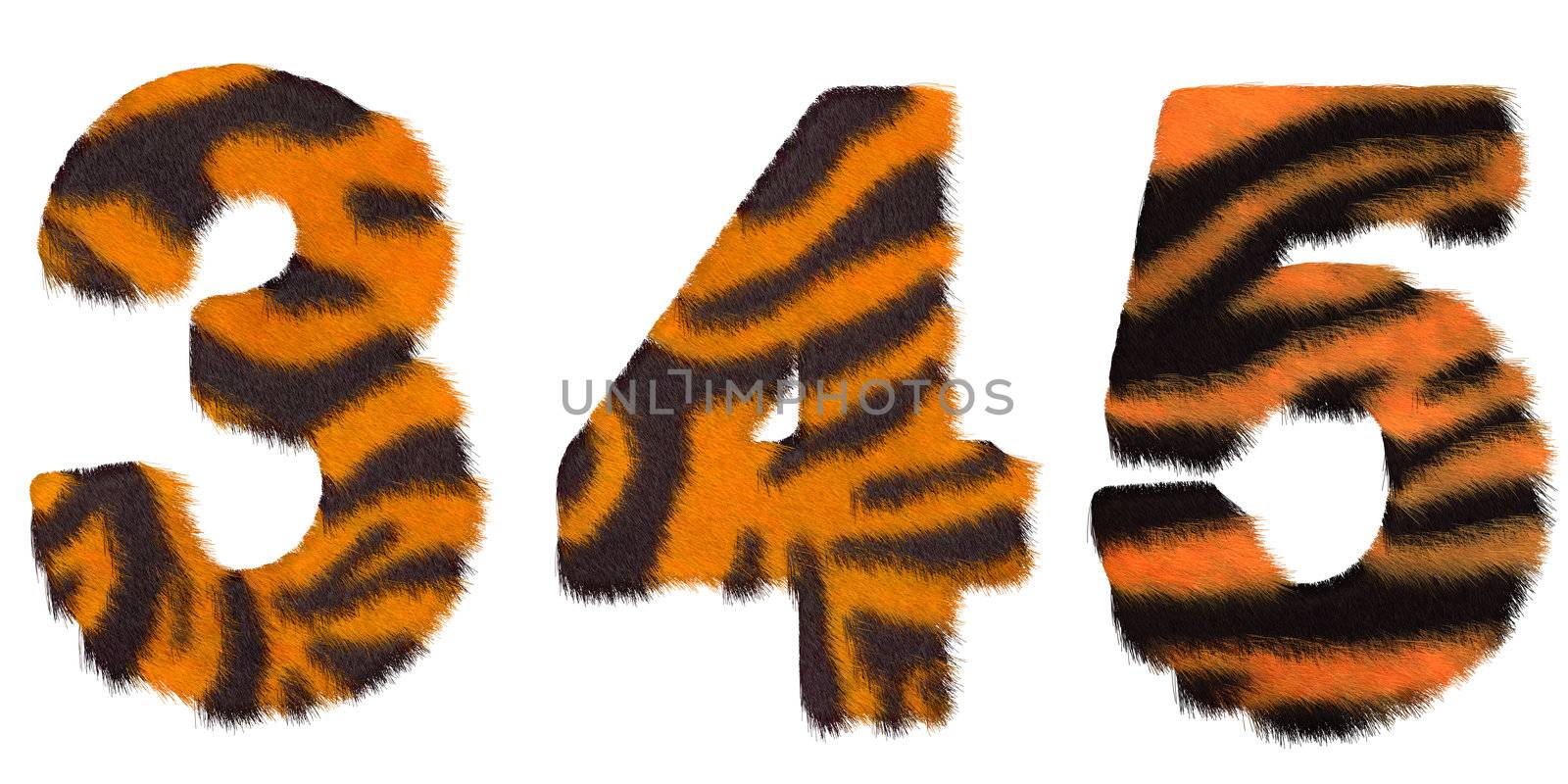 Tiger fell 3 4 and 5 figures isolated over white