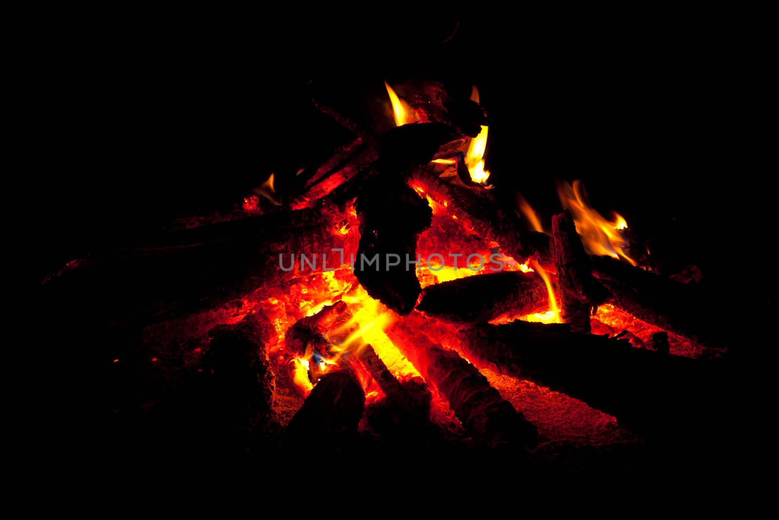 Campfire in drakness