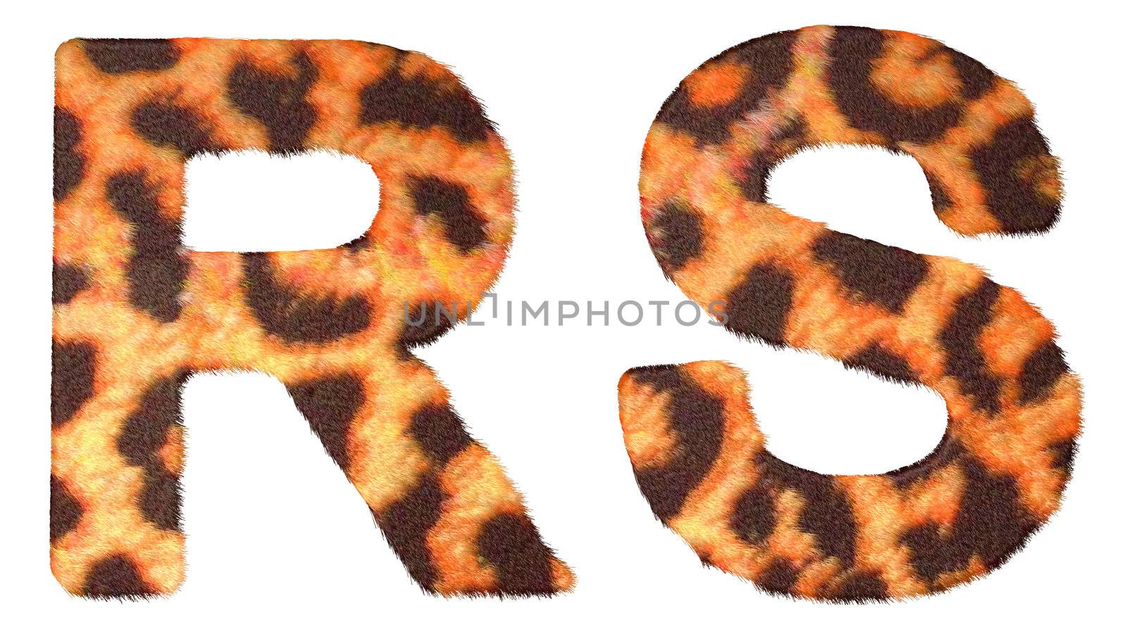 Leopard fur R and S letters isolated over white background