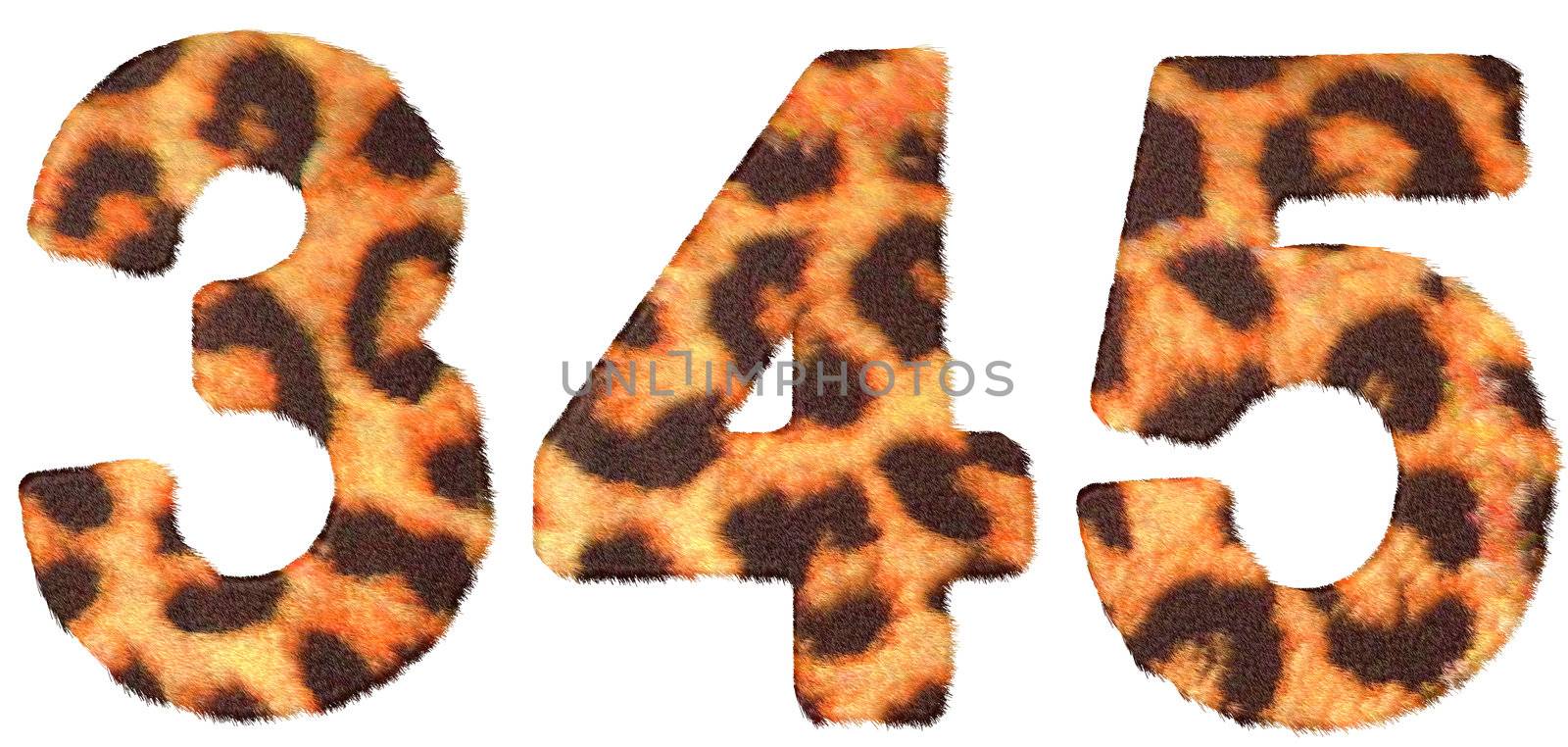 Leopard skin 3 4 and 5 figures isolated over white