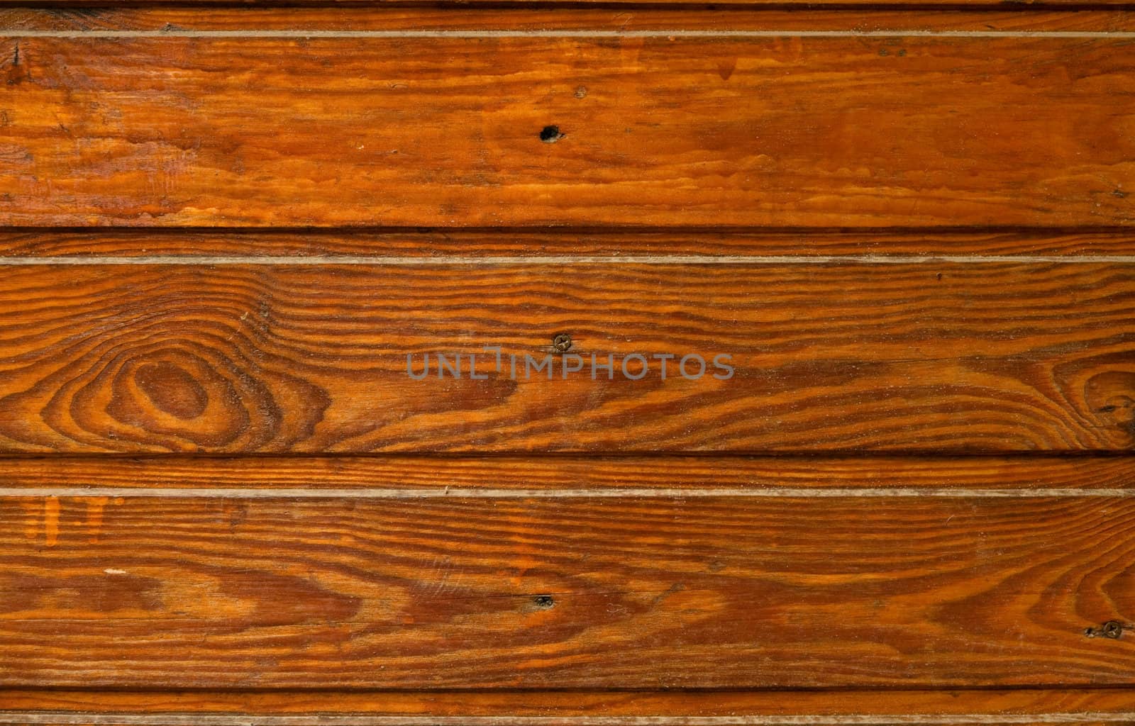 Close-up of wood texture  by Elisanth