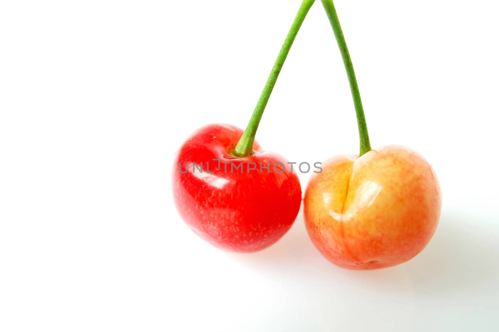 Red cherry fruits on a white background