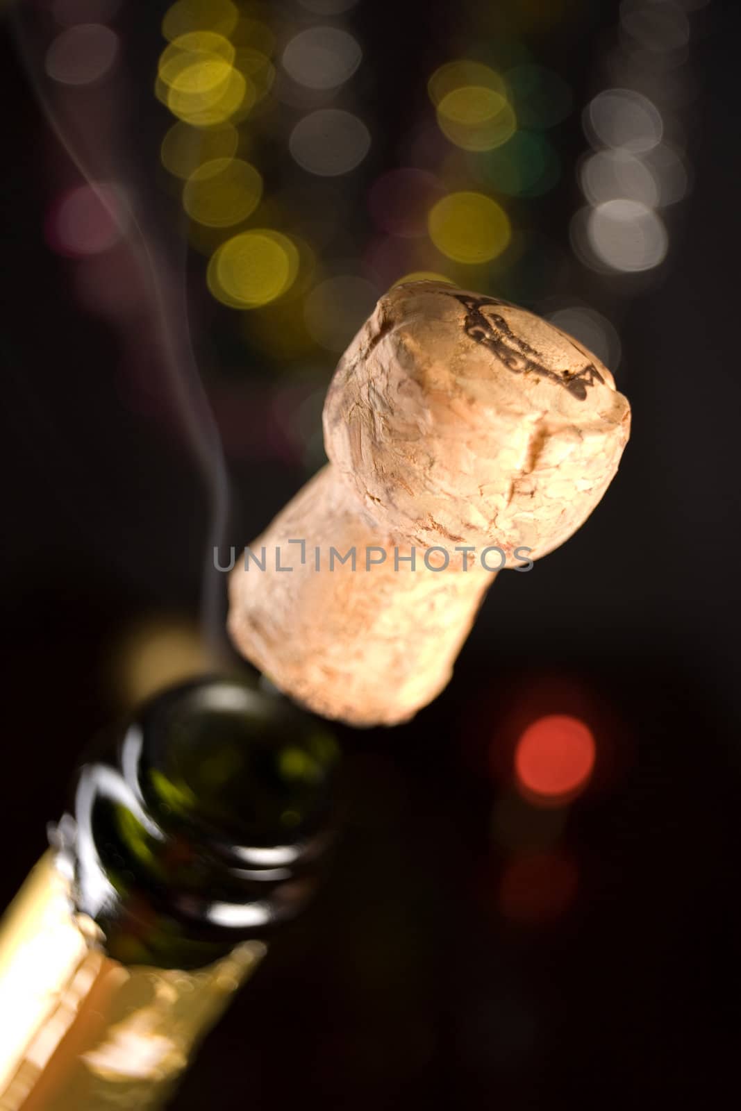 Champagne bottle  by Elisanth