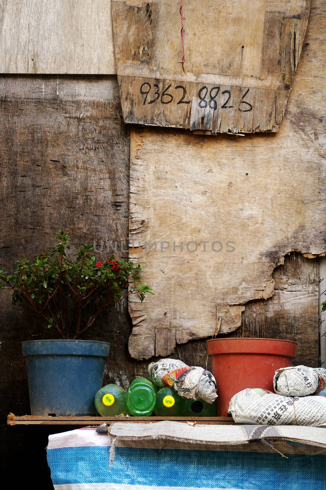 A old garden and wall