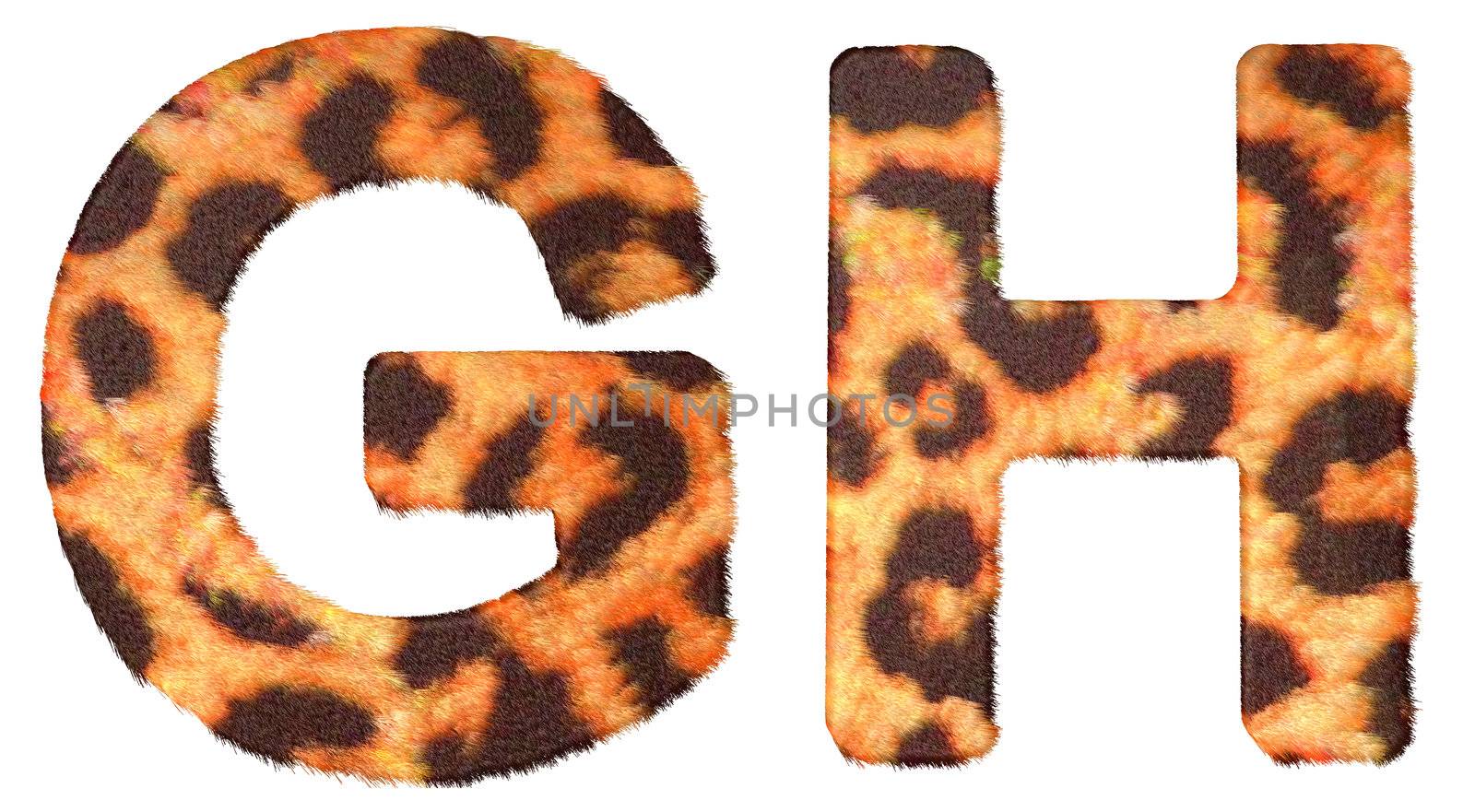 Leopard fur G and H letters isolated over white background