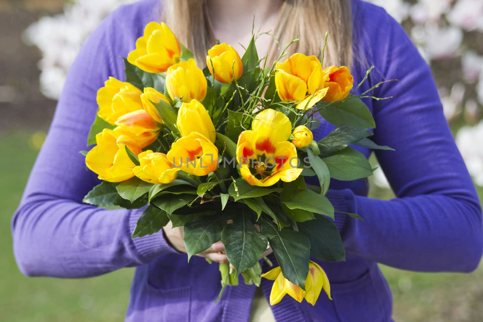 Bunch of tulips in woman's hands