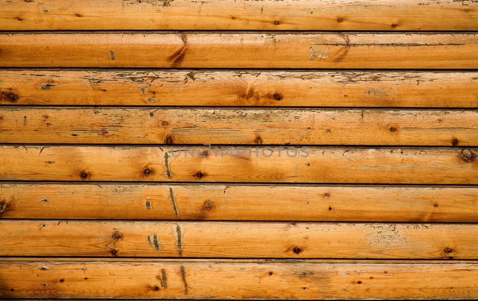 Texture of old light grungy wood 