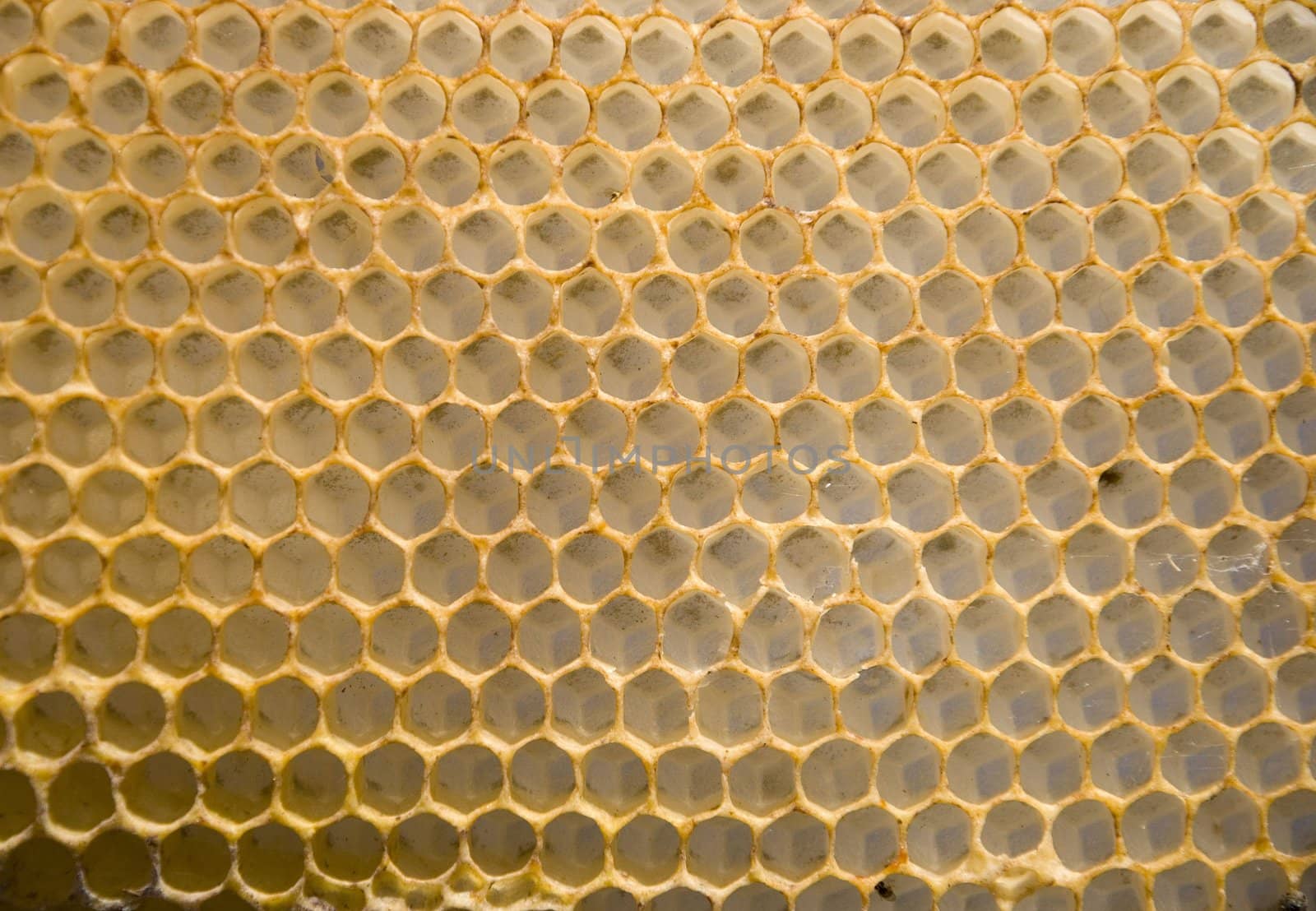 Honeycomb mesh by sauletas