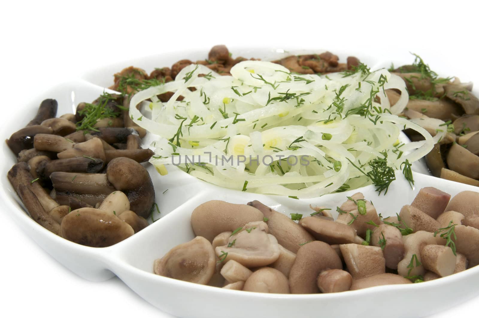 plate with an assortment of mushrooms on a white background
