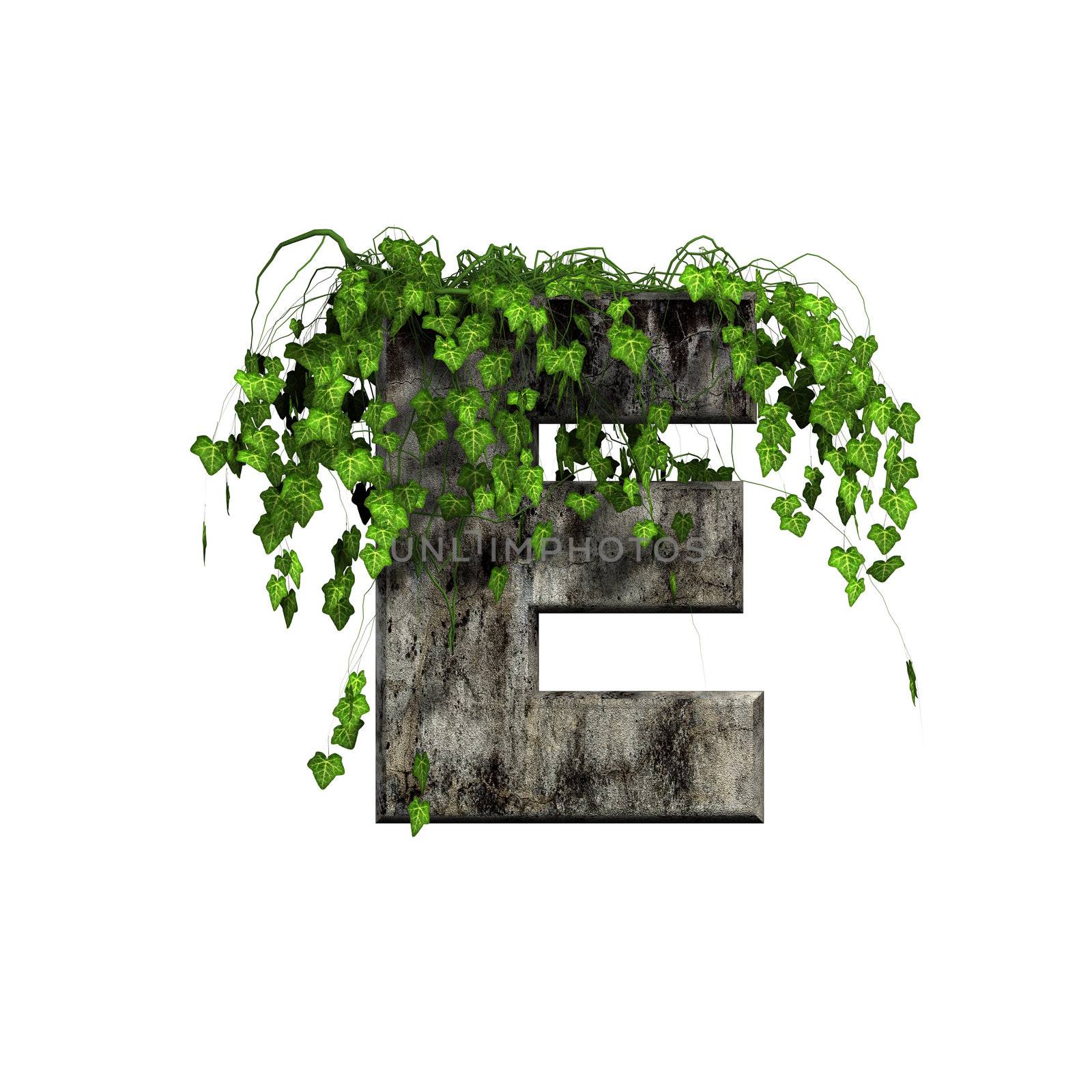 green ivy on 3d stone letter - e