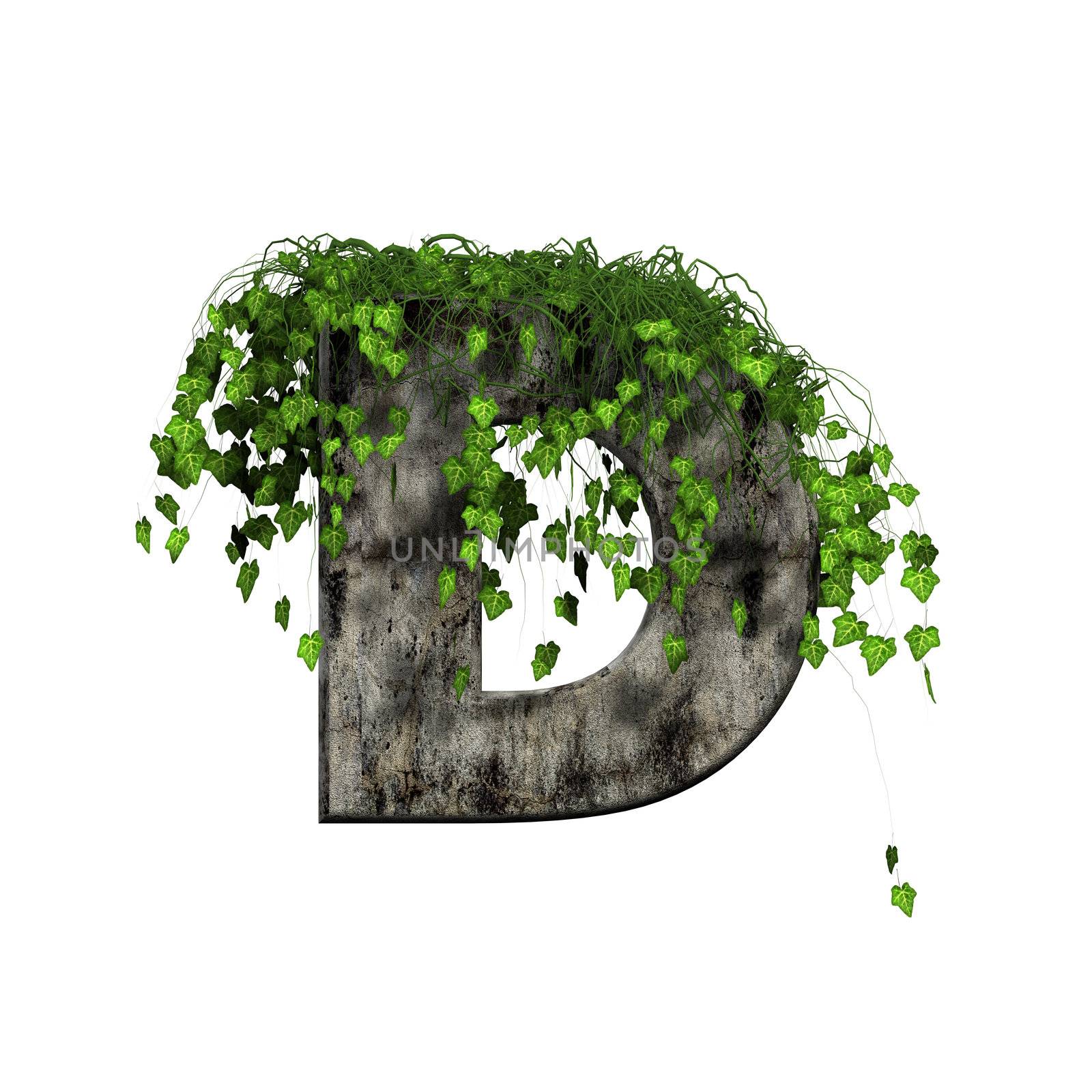 green ivy on 3d stone letter - d