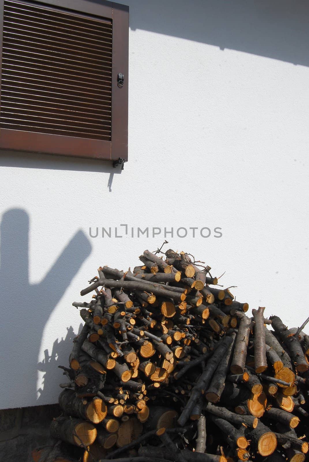 Window wooden shutter and heaped firewood on white wall