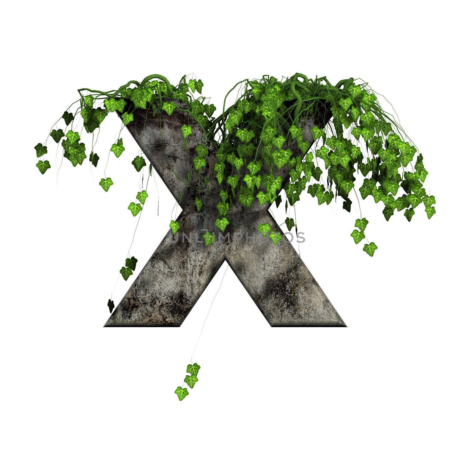 green ivy on 3d stone letter - x