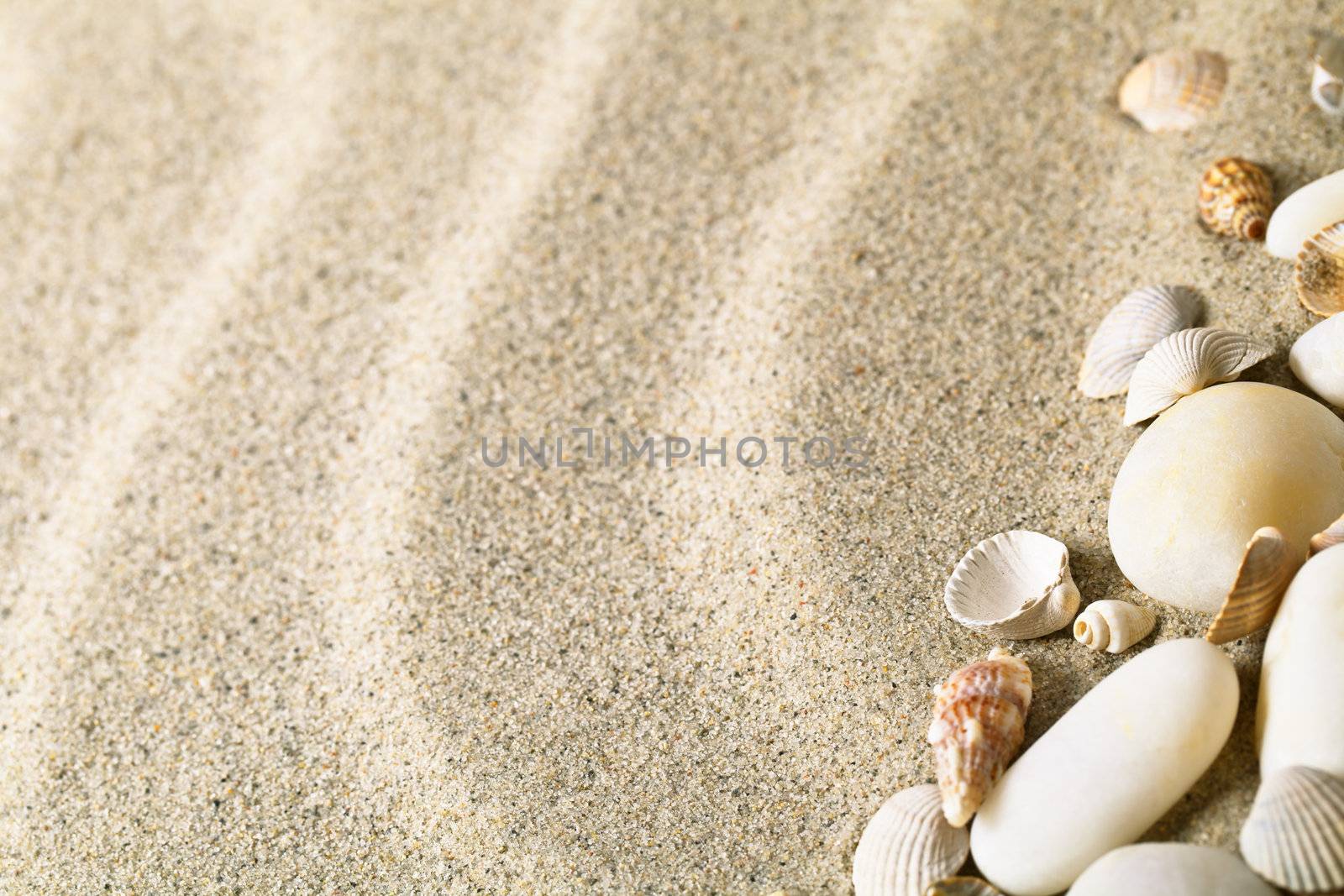 Sand with shells and stones. Beach composition with copy space