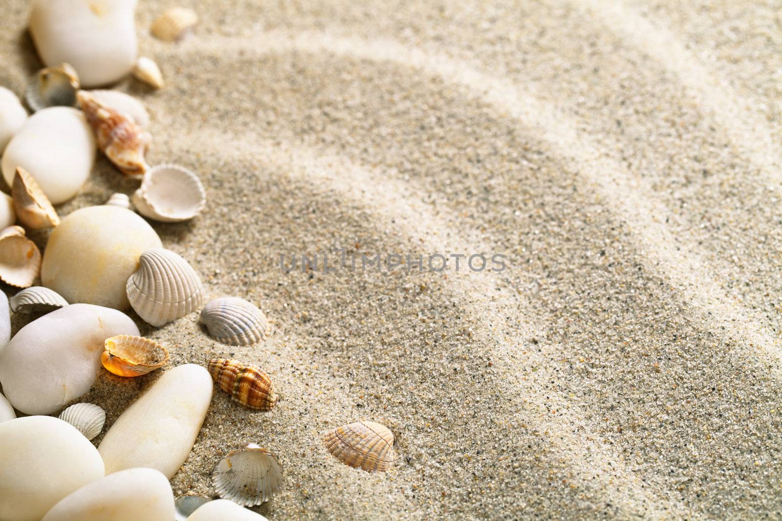 Sand and Shells by bozena_fulawka