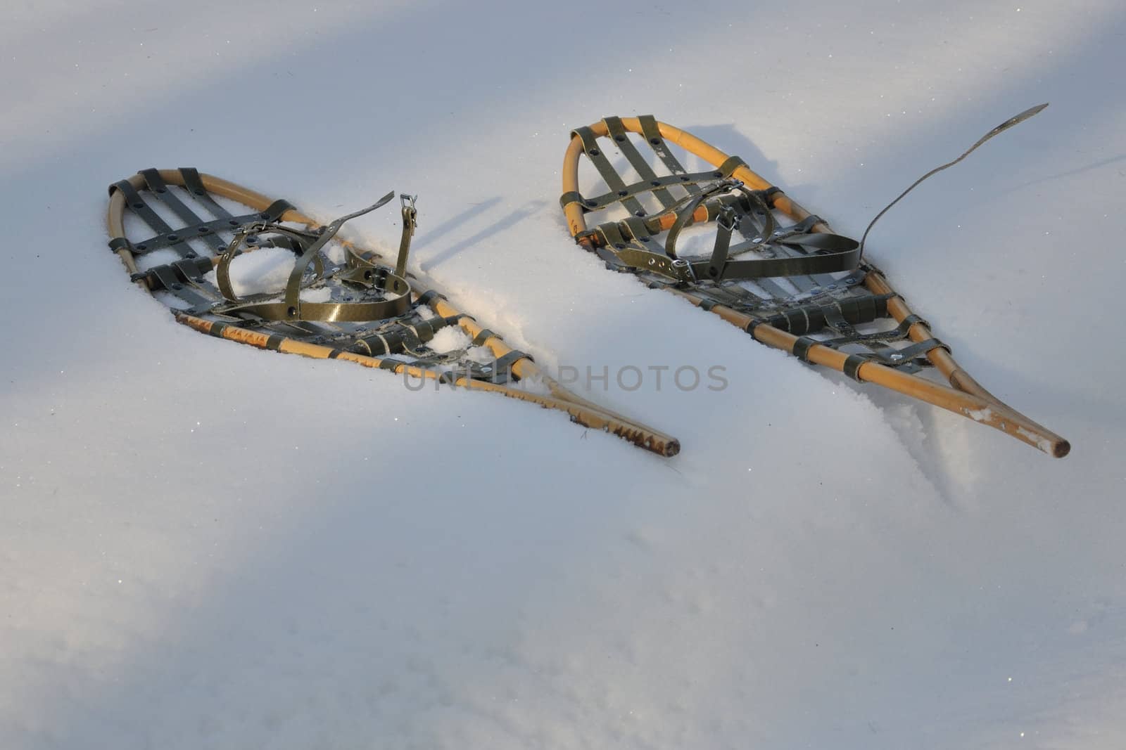 Photo of snowshoes - you can walk on snow with them.