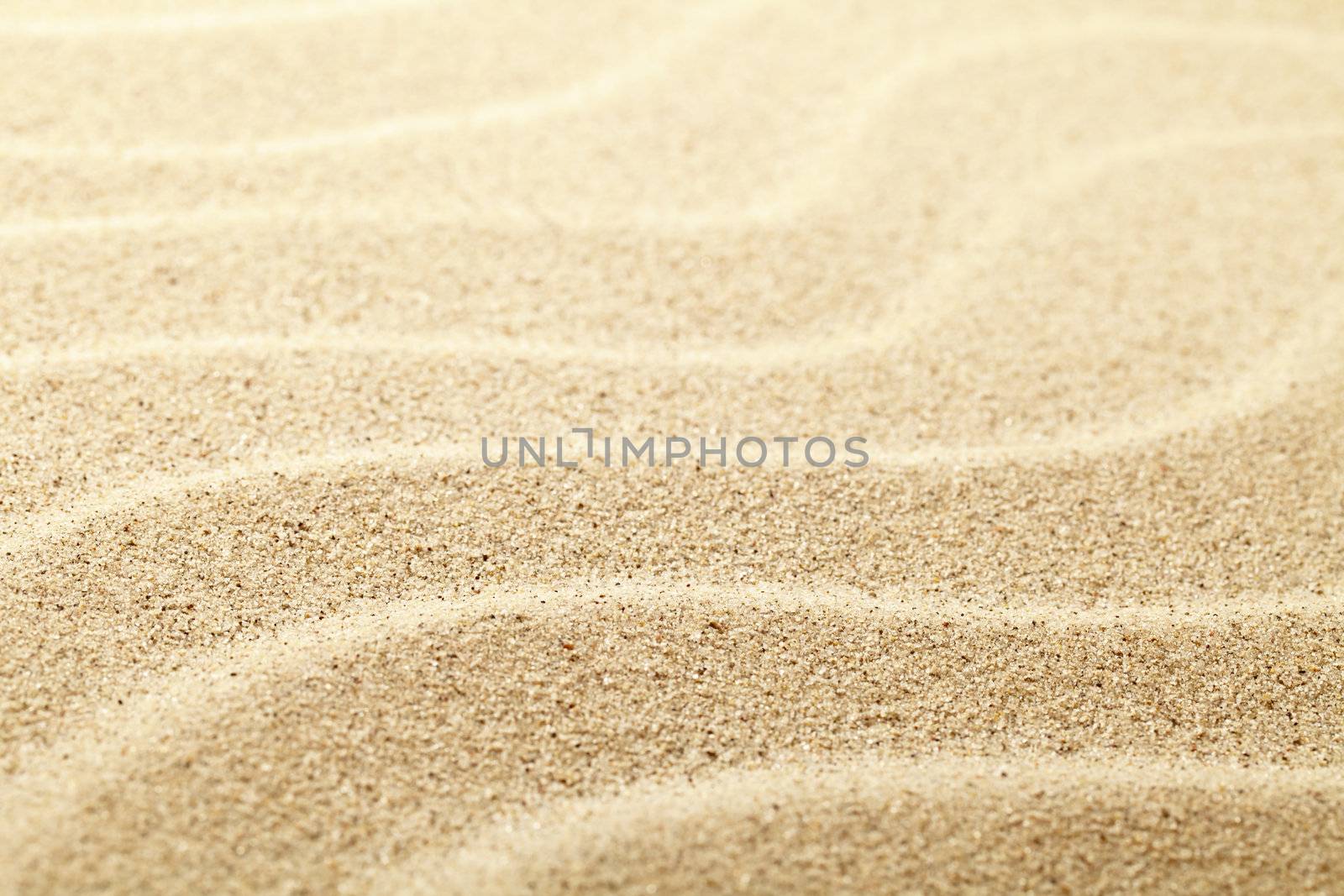 Sand background. Sandy beach texture. Macro shot. Copy space