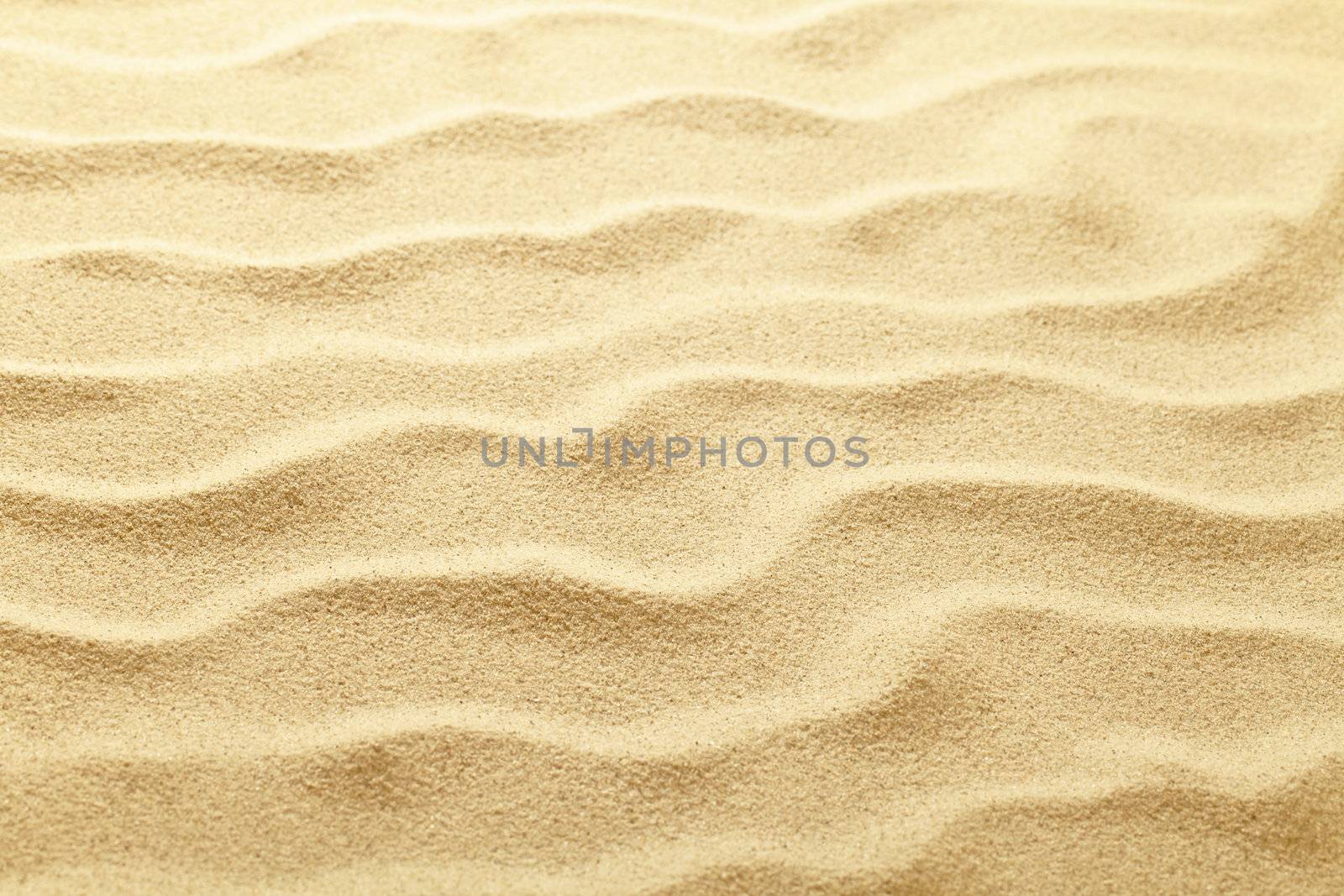 Sandy beach summer background. Sand texture. Copy space