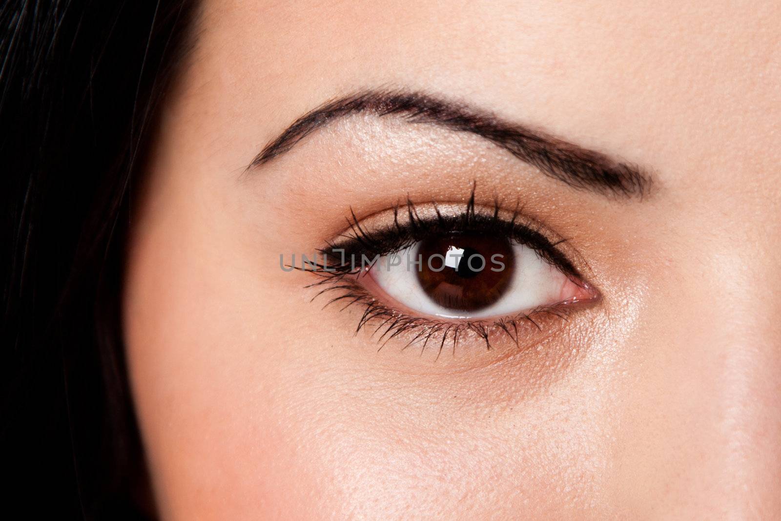 Beautiful female eyebrow and brown eye with lashes on fair skin.
