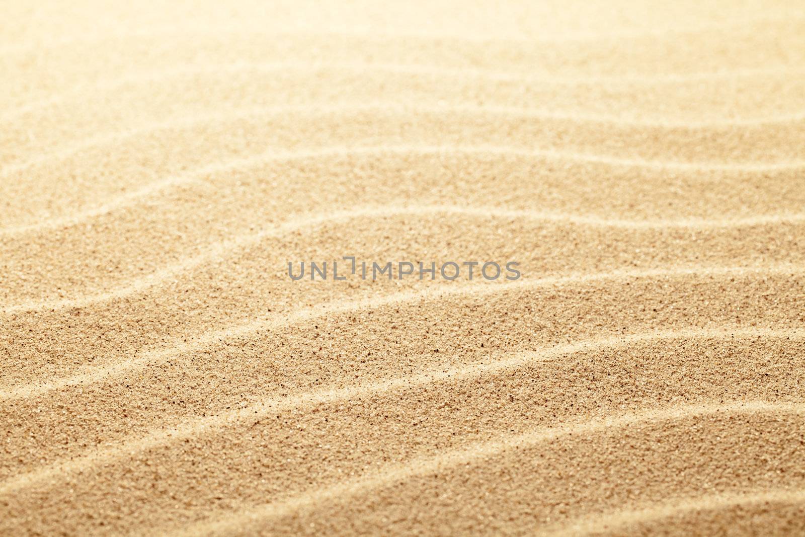 Sand background. Sunny beach close up view