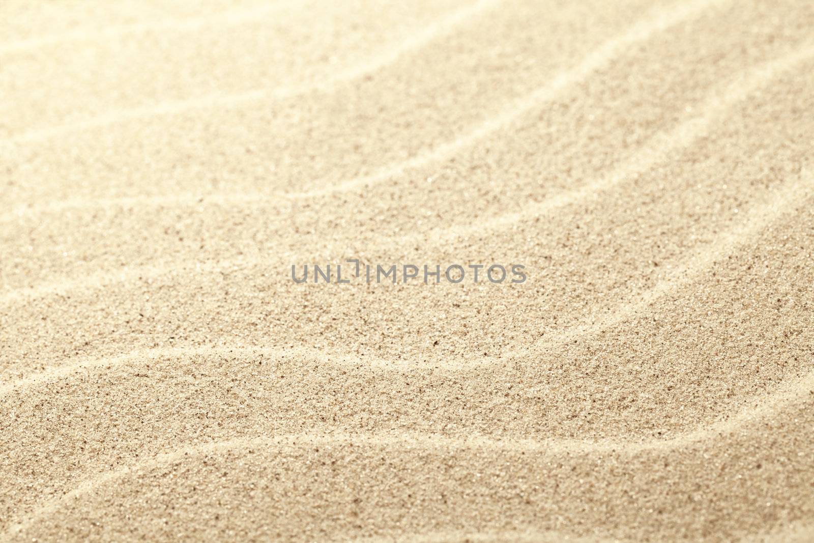 Sand background. Summer beach close up view