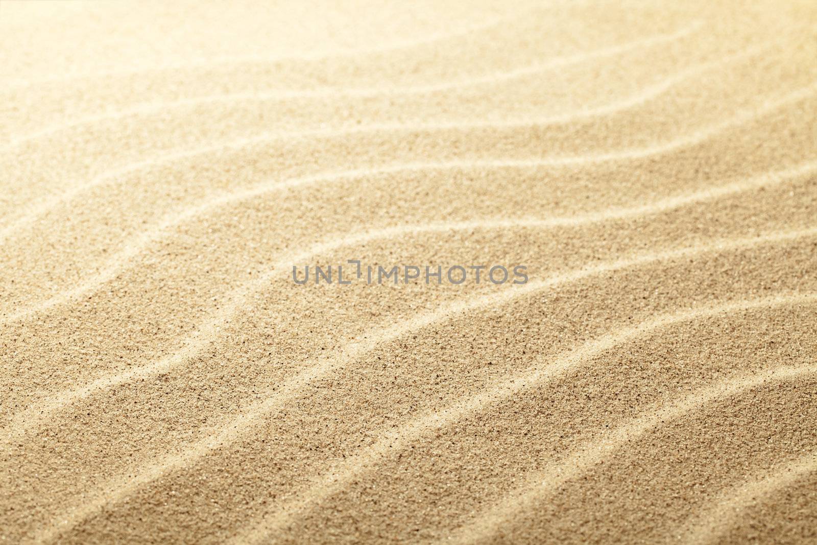 Sandy beach background. Sand close up view. Focus on center