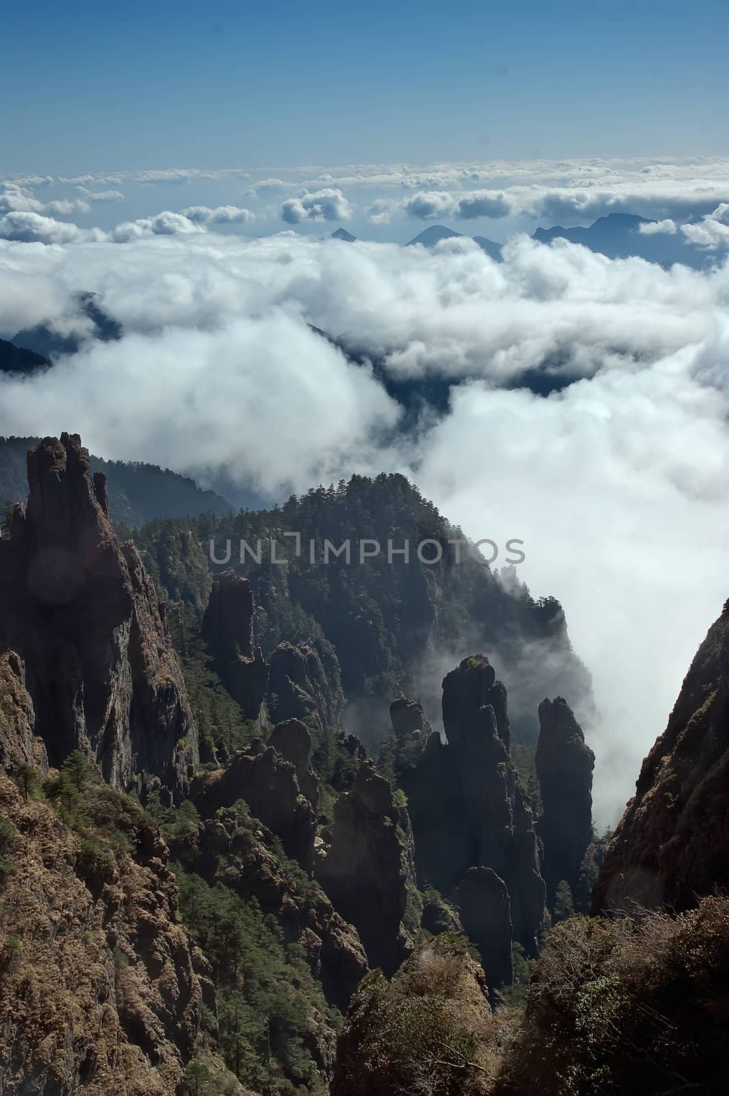 China Hubei Shennongjia Mountains landscape by xfdly5