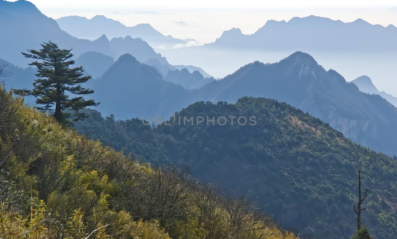 Shennongjia beauty - was taken in Hubei, China