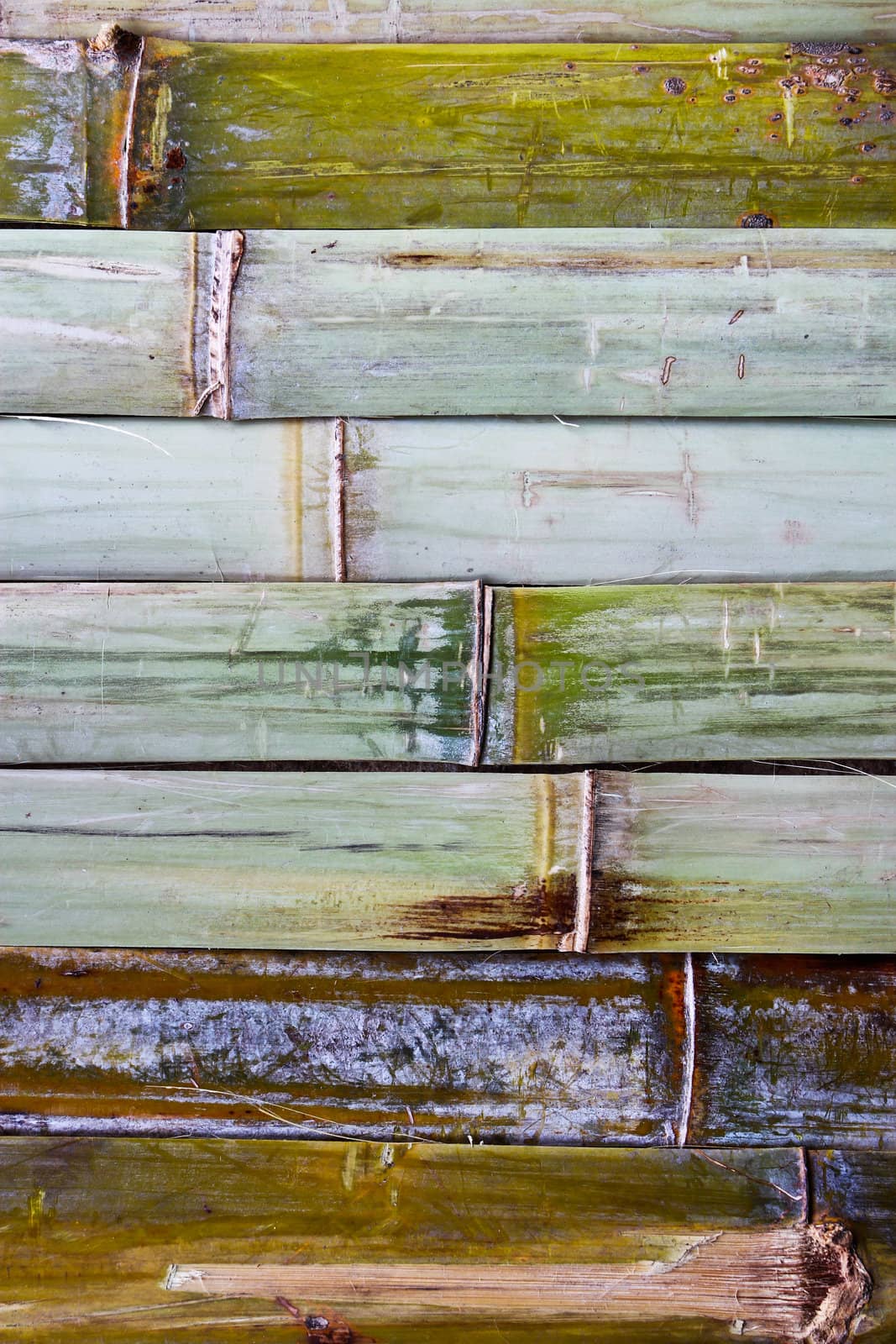 bamboo wall texture , closes – up by bajita111122