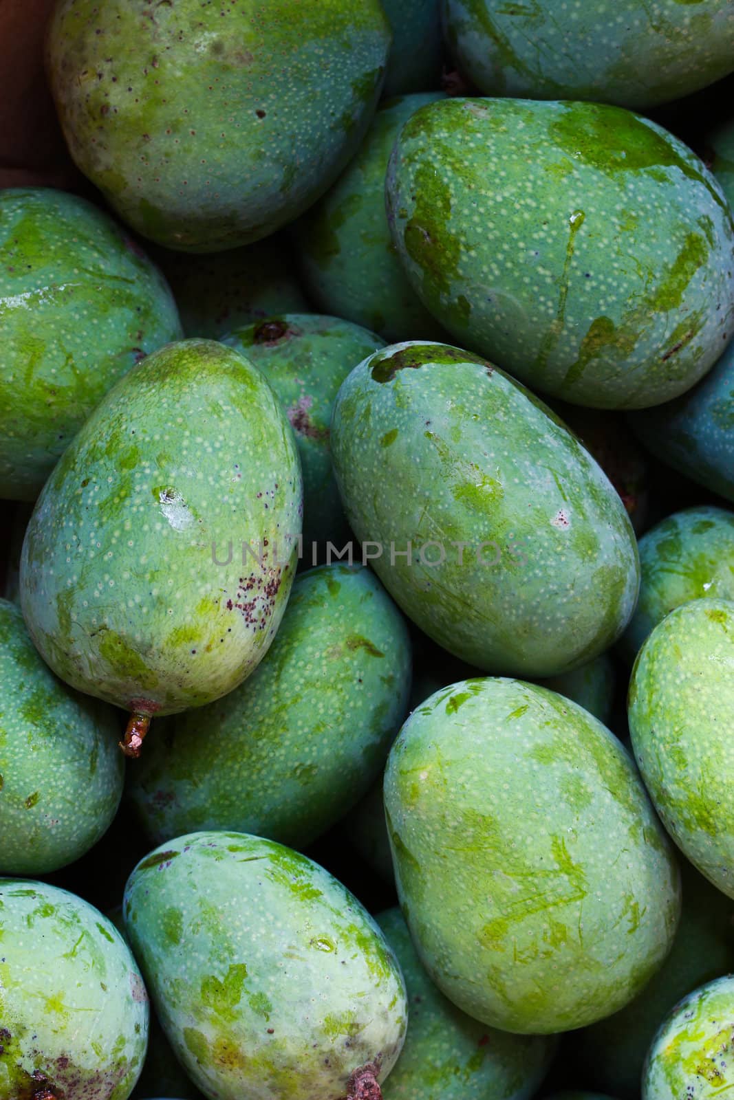Green mango background , closes – up .