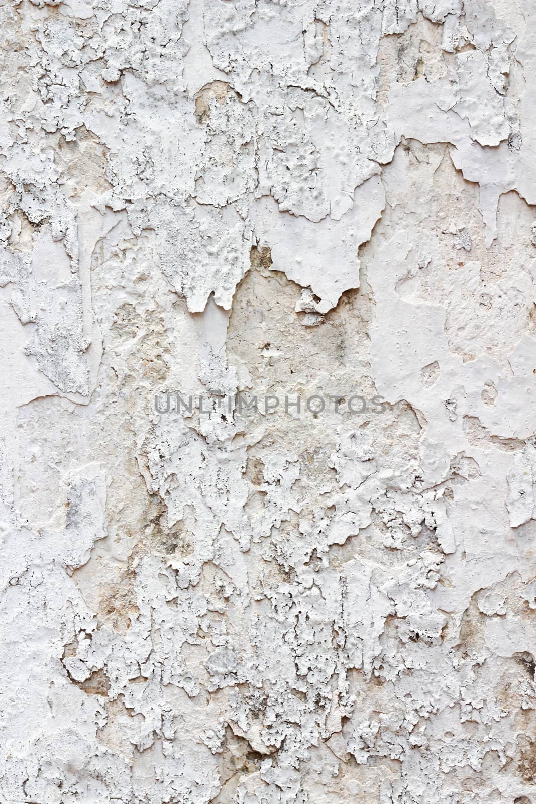 abstract raw old paint dirty wall background by bajita111122