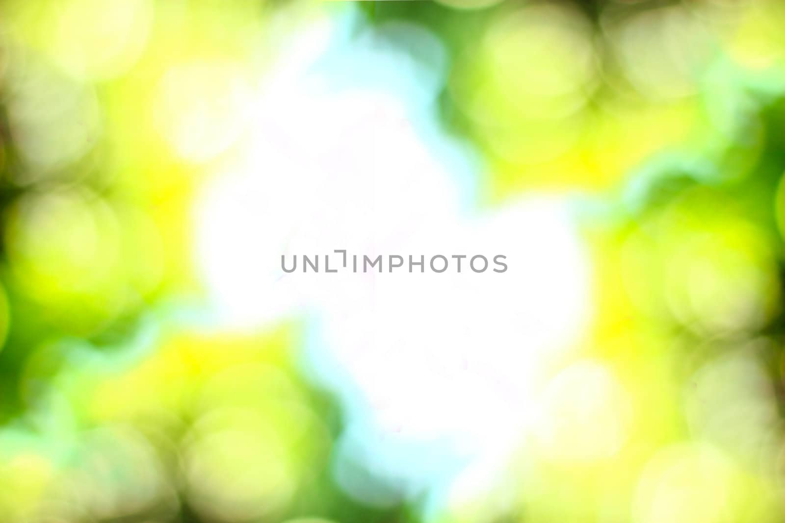 Spring background , Blurred background by bajita111122