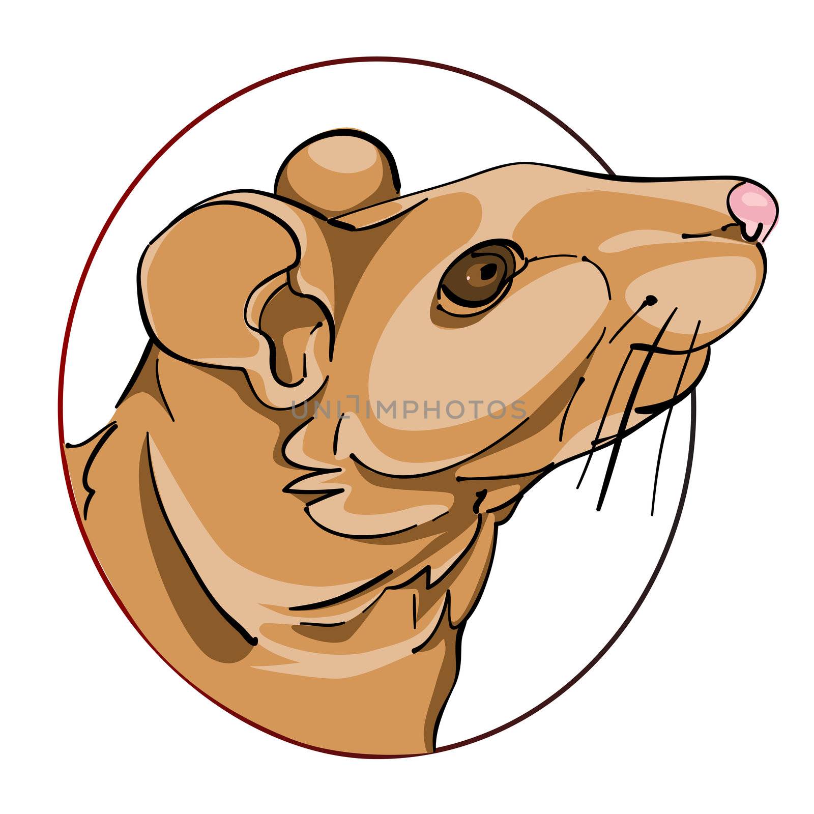 rat sign by catacos