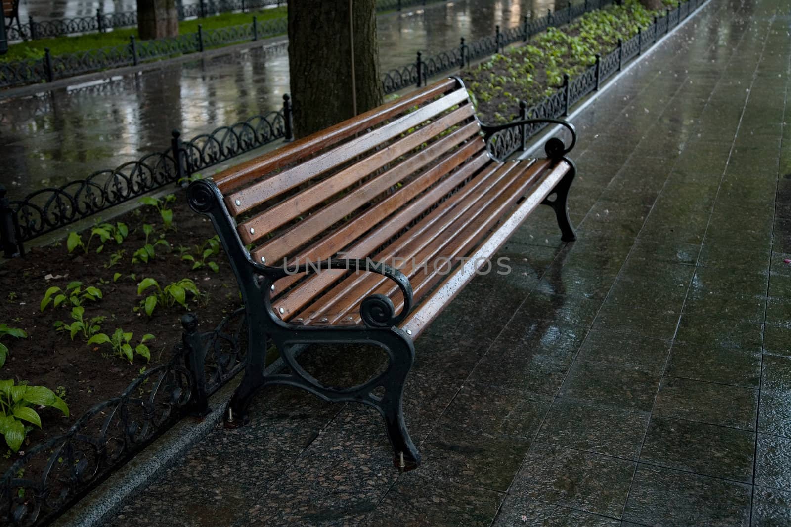 Park bench after rain 