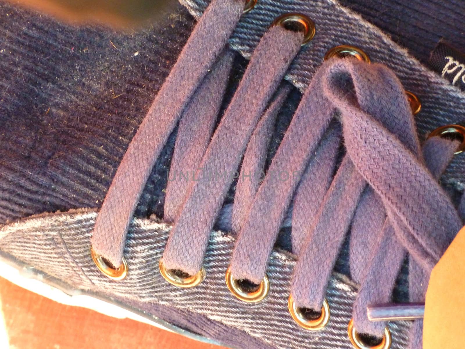 shoe laces by gazmoi