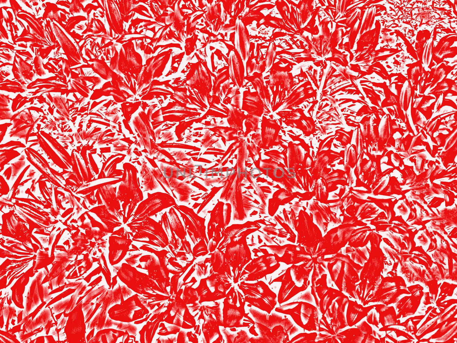 Image of red Abstract background of flowers