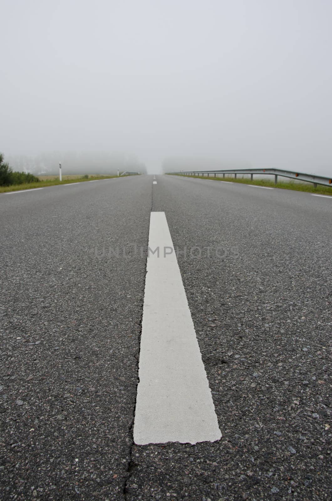 Background of rural asphalt road and white marking on it in early morning fog.