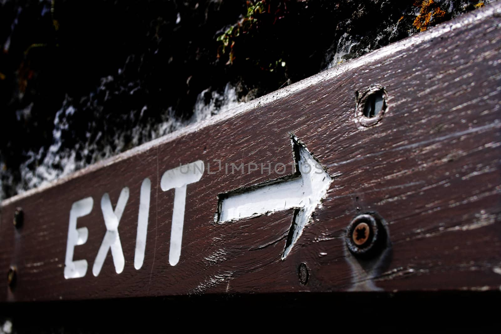 Rustic exit sign made of wood by cristiaciobanu