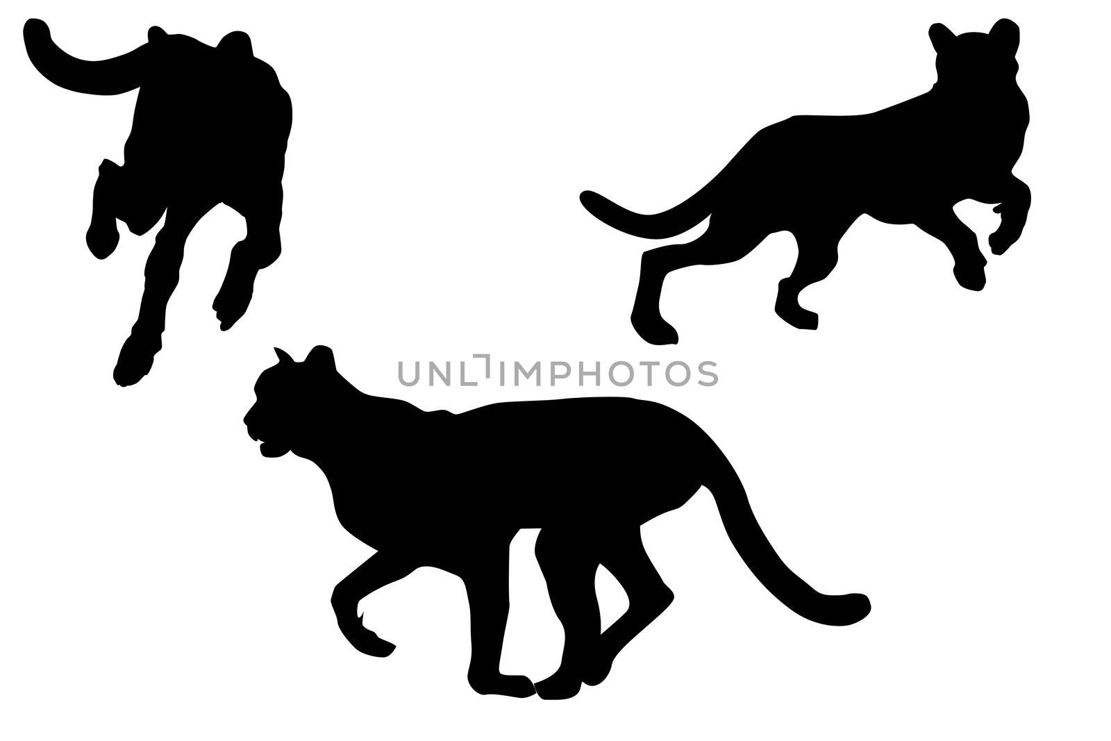 Cheetah silhouettes with clipping path
