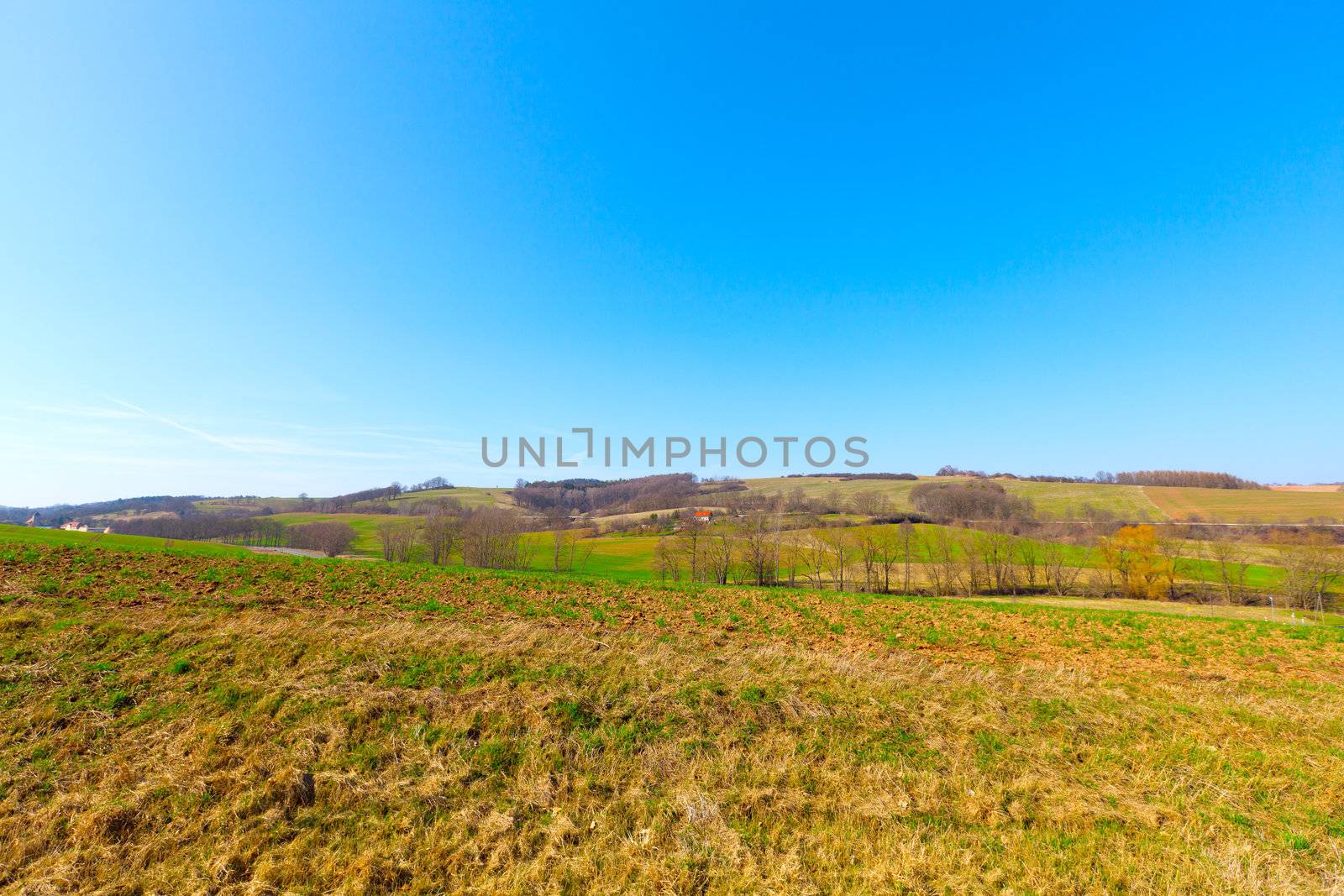 agricultural soil of a field in the springtime