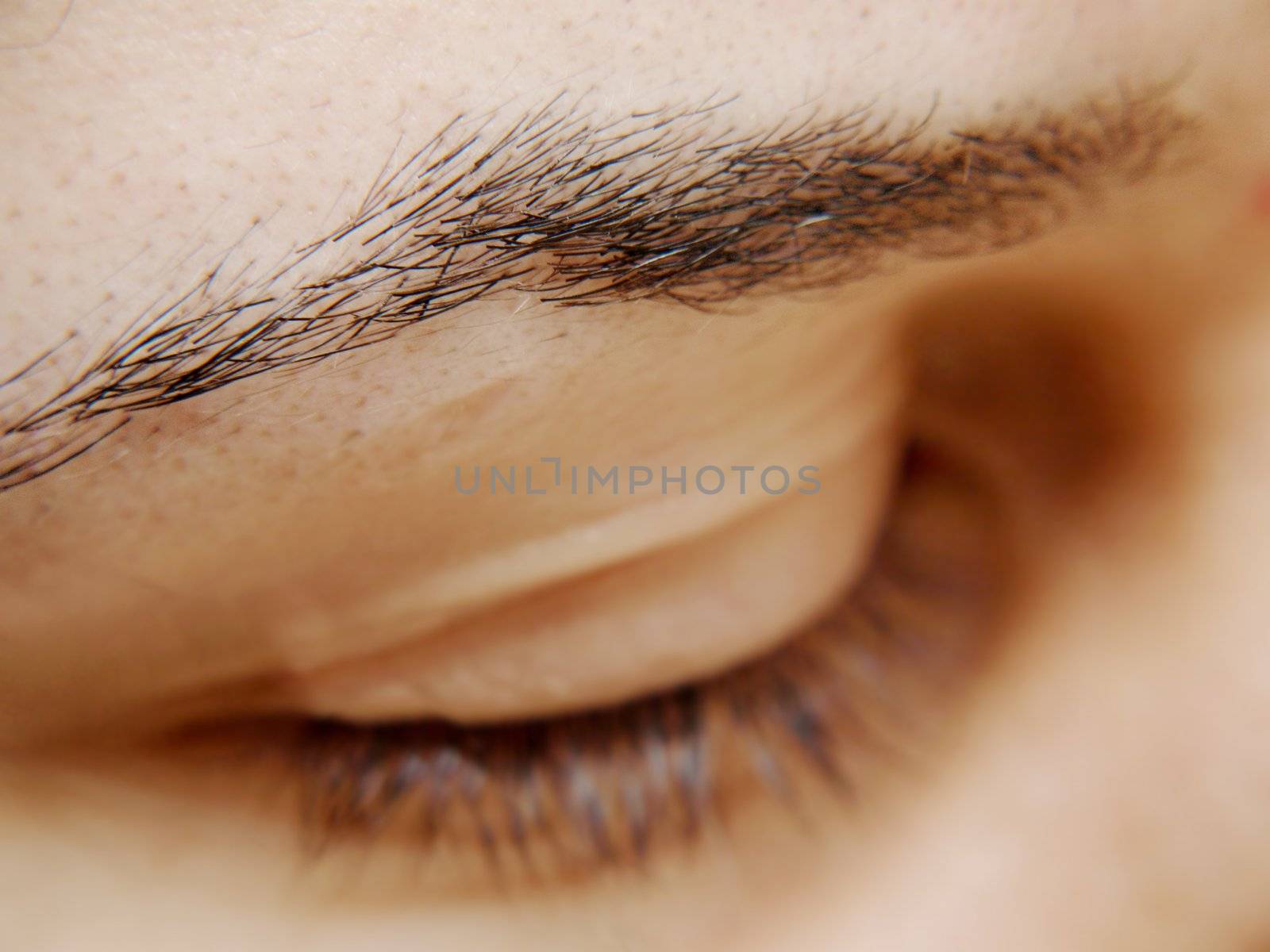 Close up of a womans eye brow