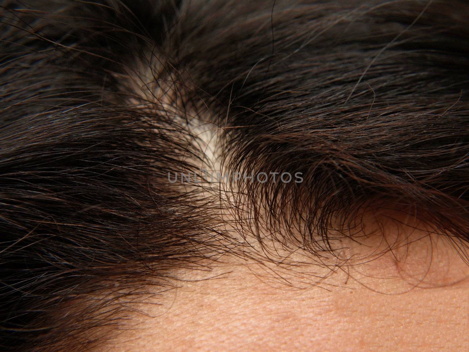 Close up of a humans head, brown thick hair