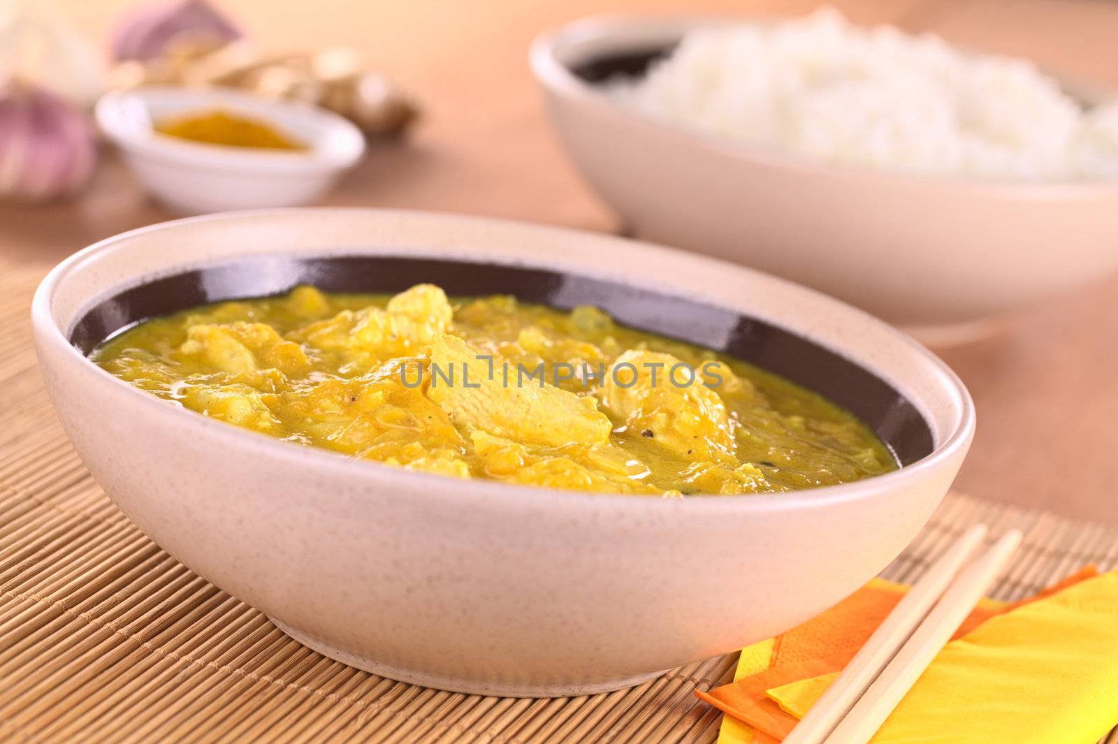 Chicken-mango curry with rice in the back (Selective Focus, Focus on the chicken piece in the front)