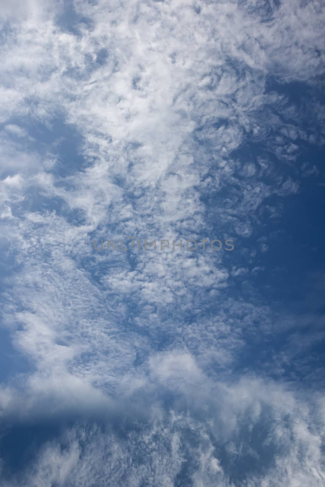 The beautiful white clouds and blue sky