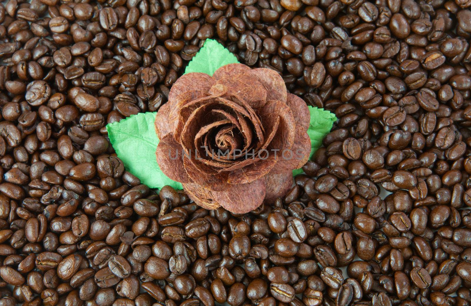 flower and cup on coffee beans